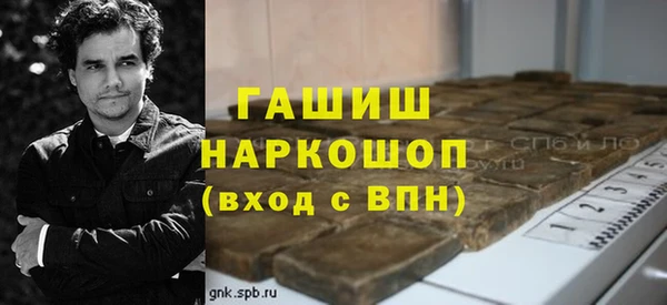 гидра Новодвинск