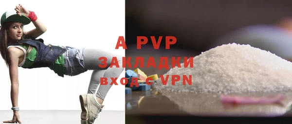 гидра Новодвинск