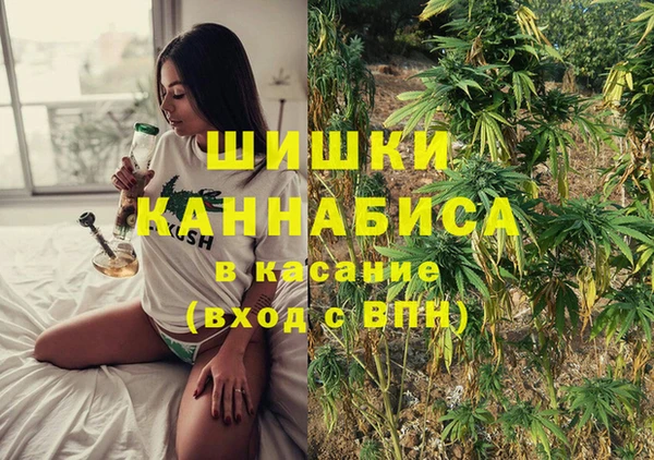 дмт Новозыбков