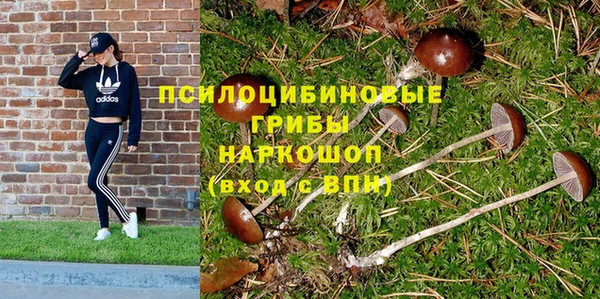 МДПВ Новокубанск