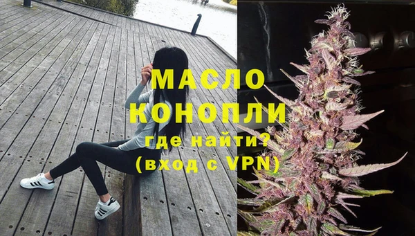 гидра Новодвинск