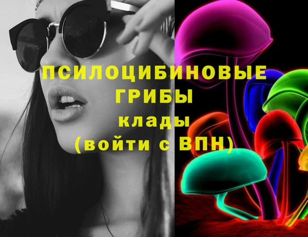 дмт Новозыбков