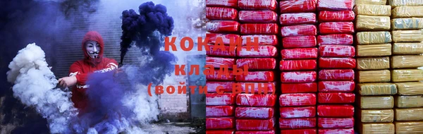 дмт Новозыбков