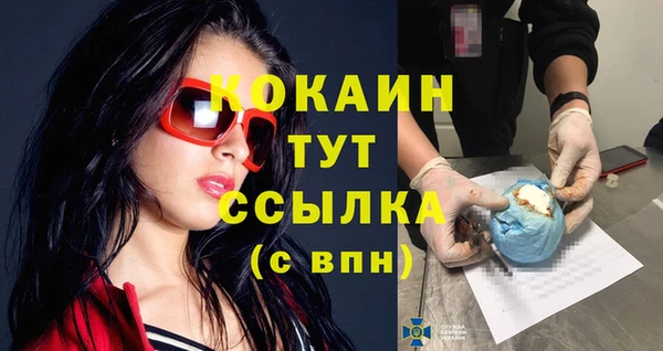 дмт Новозыбков