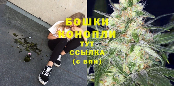 дурь Дмитровск