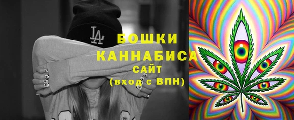 гидра Новодвинск